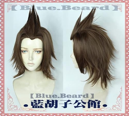 Wig for Kingdom Hearts III Birth by Sleep Perücke Cosplay Kostüm Herren Hitzebeständige Kunsthaarperücken + Gratis Perückenkappe CHINA wie auf dem Bild von EQWR