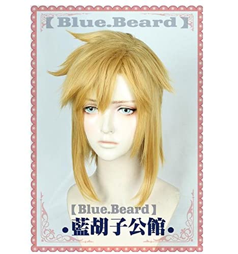 Wig for Link Goldene Perücke Cosplay The Legend of Zelda Cosplay Perücke Haare Rollenspiel Goldene Farbe Halloween Rollenspiel Haare + Perückenkappe Legend of Zelda wie auf dem Bild von EQWR