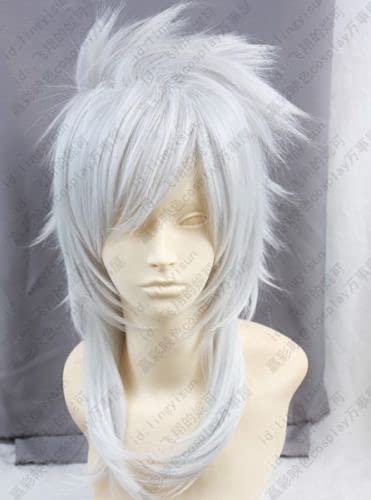 Wig for Magi Sharrkan Lange Silberne Weiße Synthetische Cosplay Perücke + Perückenkappe Magi wie auf dem Bild von EQWR