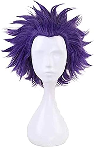 Wig for Shinsou Hitoshi Shinso Purple Short Wig Cosplay Costume Boku no Hero Academia Heat Resistant Hair Men Wig von EQWR