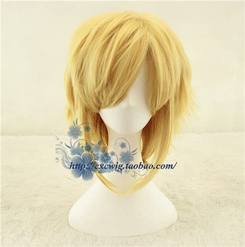 Wig for The Legend of Zelda: Breath of the Wild Link Kurze goldene hitzebeständige Cosplay Perücke + Perückenkappe wie auf dem Bild von EQWR