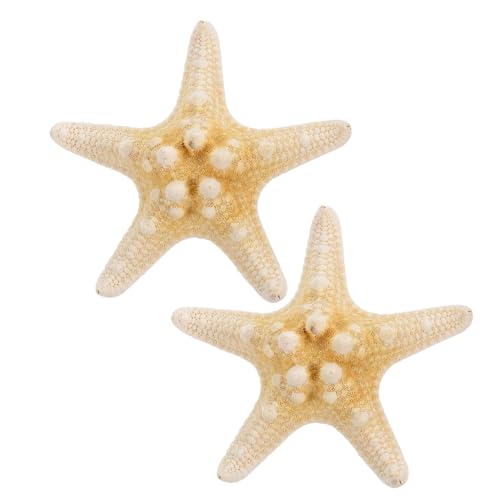 ERINGOGO 2 Stück Fünfzackige Seestern Haarspangen Handgemacht Natürlicher Look Haarschmuck Damen Mädchen Strand Party Accessoire Zufällige Farbe von ERINGOGO