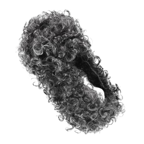 ERINGOGO Lockige Graue Richterperücke Für Cosplay Und Historische Anlässe Lange Historische Perücke Aus Synthetischen Fasern Geeignet Für Bühnen Und Kostüme von ERINGOGO