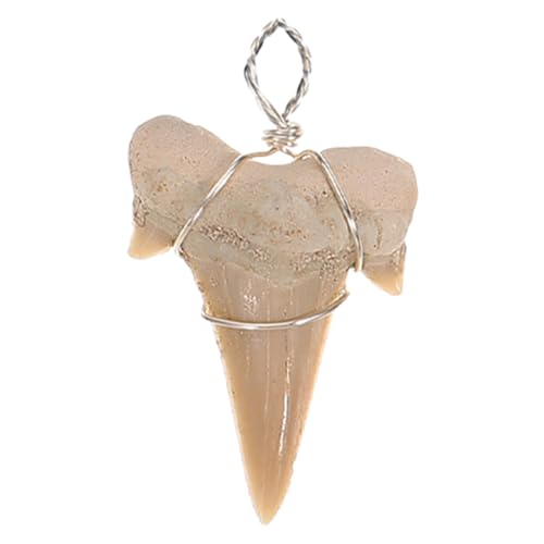 ERINGOGO Haifischzahn Anhänger Herstellung Für Charms Charm Halskette Haifischkette Zähne Schmuck DIY Material Schmuck Anhänger Dekoration Zahn Ornament Hellbraun Fossil von ERINGOGO