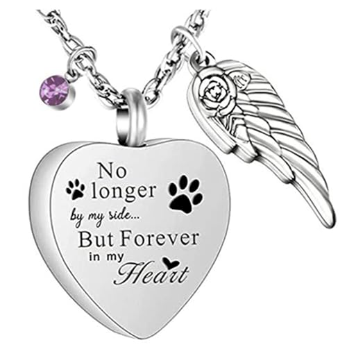 ERRORY Halskette mit herzförmigem Flügel-Anhänger aus Edelstahl zur Aufbewahrung von Asche, Haaren oder Parfums, Gedenkgeschenke, Edelstahl-Herzflügel-Halskette, Einheitsgröße, Wie beschrieben, Wie ERRORY Halskette mit herzförmigem Flügel-Anhänger aus Edelstahl zur Aufbewahrung von Asche, Haaren oder Parfums, Gedenkgeschenke, Edelstahl-Herzflügel-Halskette, Einheitsgröße, Wie beschrieben, Wie von ERRORY