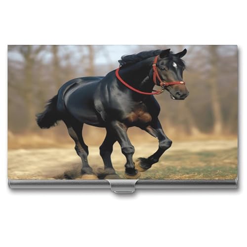 ERSTSNCK Visitenkartenhalter aus Metall, personalisierbar, superleicht, schlankes Design, Namenskartenhalter, Organizer mit Schnalle, für Damen und Herren ERSTSNCK Visitenkartenhalter aus Metall, personalisierbar, superleicht, schlankes Design, Namenskartenhalter, Organizer mit Schnalle, für Damen und Herren von ERSTSNCK