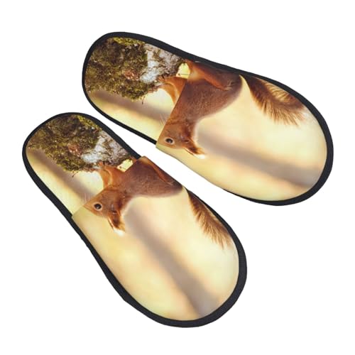 ESASAM Lustige Plüsch-Hausschuhe mit Eichhörnchen-Druck, weich, leicht und langlebig. Perfekt für den Innenbereich, Schwarz , Large von ESASAM