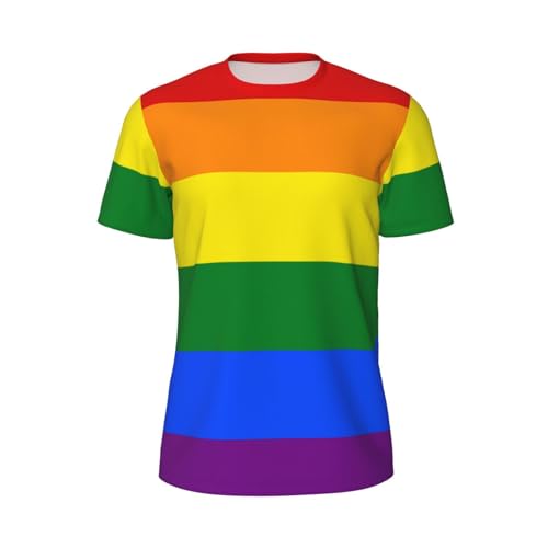 Rainbow Herren Kurzarm Mesh T-Shirt Atmungsaktiv Leicht Sport T-Shirt für Outdoor Aktivitäten Schnelltrocknend Feuchtigkeitstransport Komfort, regenbogenfarben, XL von ESASAM