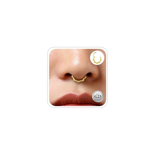 ESHIONER G23 Titan Septum Piercing Daith Nasenringe Gold Blume Clicker Ring Niedlich Klein Hinged Segment Clicker 10MM 16G Daith Piercing Schmuck für Damen Herren von ESHIONER