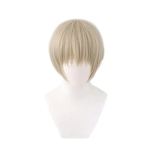 ESPADE Wig Anime Cosplay Anime Jujutsu Kaisen Toge Inumaki Cosplay graue Kurze hitzebeständige Kunsthaar Halloween Karneval Party Kostüm Perücke von ESPADE