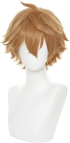ESPADE Wig Anime Cosplay Genshin Impact Tartaglia Cosplay Kurze braune hitzebeständige Kunsthaar Halloween Party Anime Cosplay Perücken ESPADE Wig Anime Cosplay Genshin Impact Tartaglia Cosplay Kurze braune hitzebeständige Kunsthaar Halloween Party Anime Cosplay Perücken von ESPADE