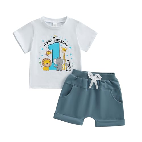 ESSECMBS Baby Junge Sein 1. Erster Geburtstag Bekleidungsset Karikatur Tiere Buchstaben Ein Druck Kurzarm T-Shirt Kurze Hosen Ein Jahr Alt Geburtstagsparty Kleidung Set (Weiß 1, 12-18 Months) von ESSECMBS