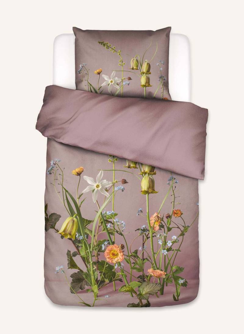 Essenza Bettwäsche Ficaria rosa von ESSENZA