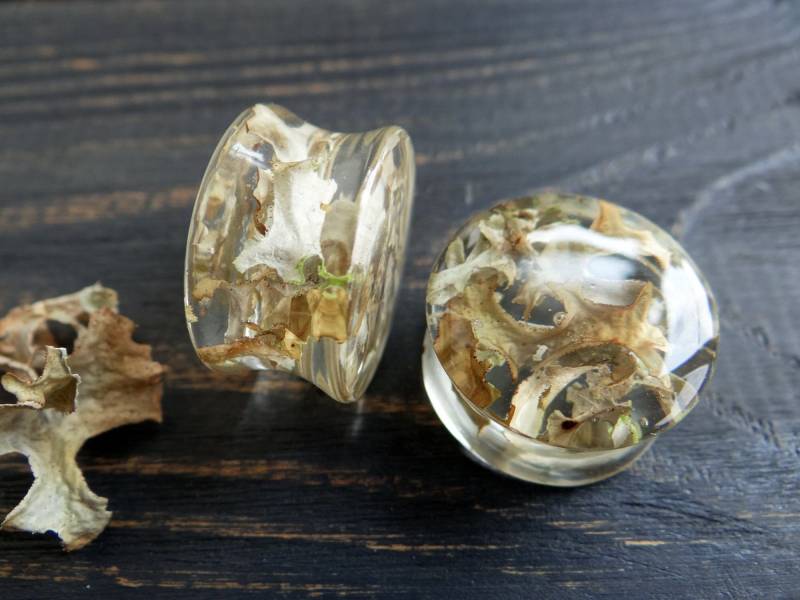 Graue Flechten-Harz-Ohrstecker Double Flared Gauges 1 - 2 Zoll, Boho Forest von ETERNIADA