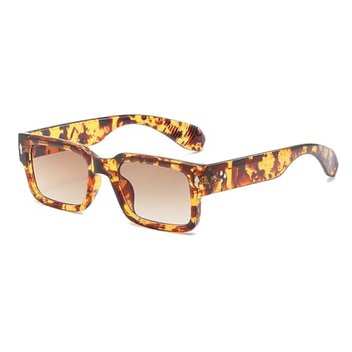 ETETGVG Klassische Sonnenbrille mit Rahmen für Männer und Frauen, Nieten, Outdoor-Straßenfotografie, UV400 (Leopardentee) von ETETGVG