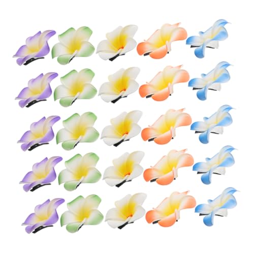 ETHZZLE 30stücke Künstliche Hawaii-blumen Haarspangen Plumeria-blumenclips Haarschmuck Mit Tropischen Blumen Haarspangen Für Damen Sommer-feierlichkeiten Strand-accessoires von ETHZZLE