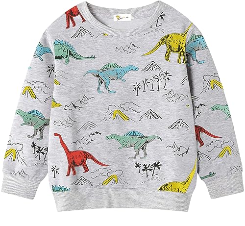 EULLA Kinder Jungen Sweatshirt Pullover Activewear Langarm Baumwolle Dinosaurier Herbst Winter Oberteile 3 Jahre alt 5# Grau Dinosaurier DE 98 von EULLA