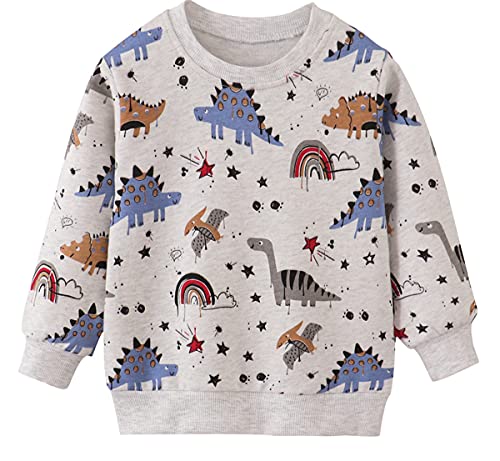 EULLA Kinder Jungen Sweatshirt Pullover Activewear Langarm Baumwolle Dinosaurier Herbst Winter Oberteile 5 Jahre alt 9-3# Grau Dinosaurier DE 110 von EULLA