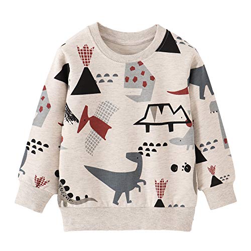 EULLA Kinder Jungen Sweatshirt Pullover Activewear Langarm Baumwolle Dinosaurier Herbst Winter Oberteile 3 Jahre alt 4# Grau Dinosaurier DE 98 von EULLA