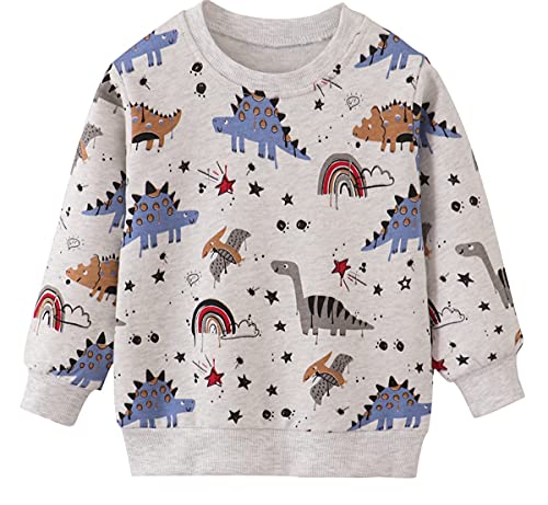 EULLA Kinder Jungen Sweatshirt Pullover Activewear Langarm Baumwolle Dinosaurier Herbst Winter Oberteile 4 Jahre alt 9-3# Grau Dinosaurier DE 104 von EULLA