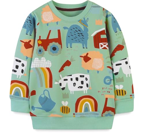 EULLA Kinder Jungen Sweatshirt Pullover Activewear Langarm Baumwolle Tier Herbst Winter Oberteile 3 Jahre alt 10# Grün Tier DE 98 von EULLA