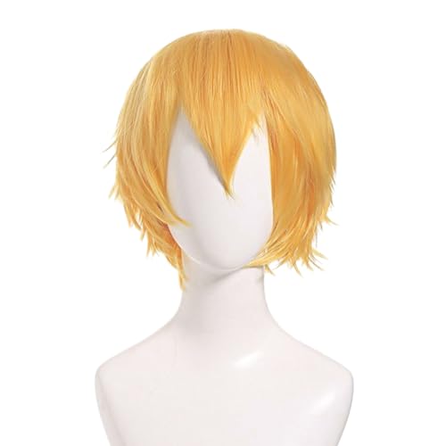 EUPSIIU Männer Kurze Cosplay Perücke Herrenperücke mit Pony Natürliche Synthetische Gerade Perücken Halloween Cosplay Tragen Karneval täglichen Themen Party Kostüm Unisex (Blond) von EUPSIIU