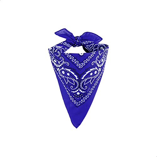 EUROXANTY blaues Bandana-Tuch | großes Bandana-Kopftuch | Bandana für Männer und Frauen | 100% Baumwolle Bandana mit Paisleymuster von EUROXANTY