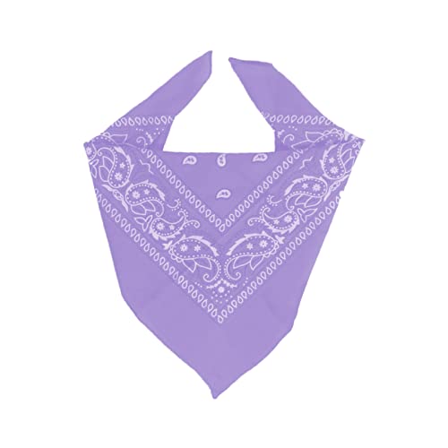 EUROXANTY lila Bandana-Tuch | großes Bandana-Kopftuch | Bandana für Männer und Frauen | 100% Baumwolle Bandana mit Paisleymuster von EUROXANTY