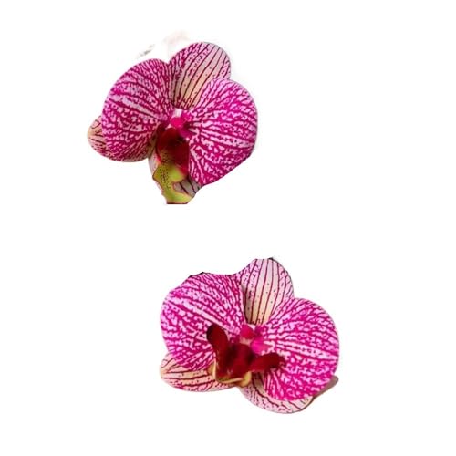 Modische Schmetterlings-Orchideen-Ohrstecker für Frauen, übertriebene große Blume, Temperament-Ohrringe, Hochzeitsschmuck, Einheitsgröße von EUVIYOOTW
