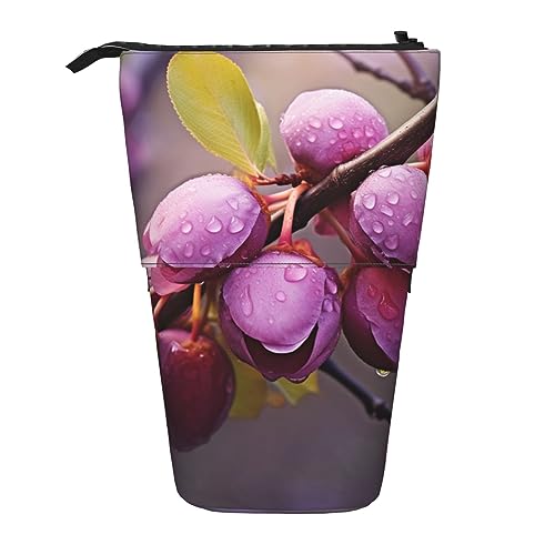 EVANEM Blooming Plum Printed Pencil Case Standing Pen Holder Telescopic Pencil Pouch Oxford Cloth Pop Up Makeup Bag for Office Middle, Blühende Pflaume, Einheitsgröße, Taschen-Organizer von EVANEM