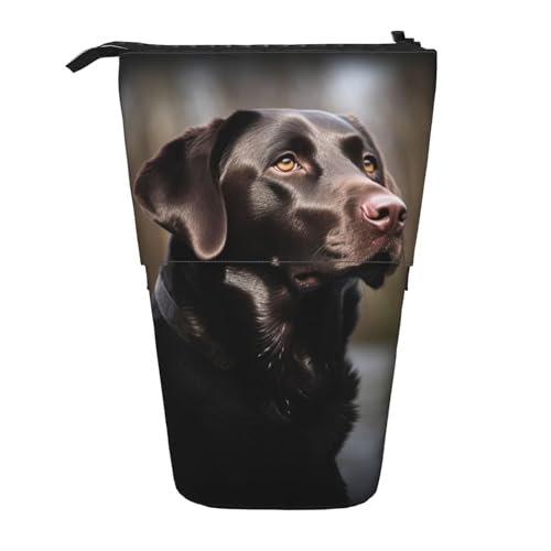 EVANEM Teleskop Federmäppchen Schreibwaren Fall für Büro Pilz Stehen Bleistift Tasche Pop up Bleistift Halter Stifthalter für Urlaub Stand-up Organizer Retractable Pencil Pouch, Labrador Retriever, von EVANEM