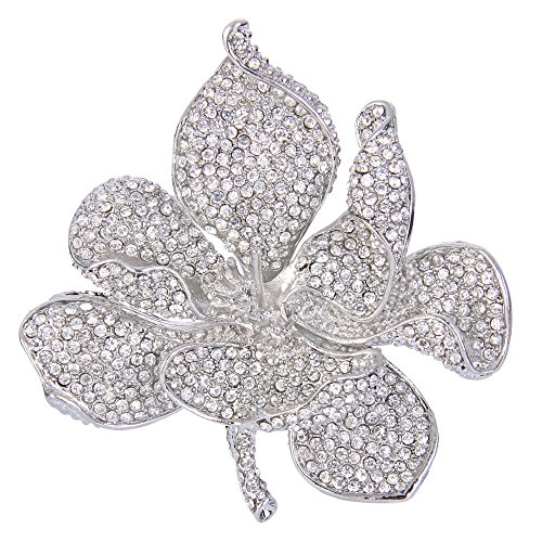 EVER FAITH Damen Österreichische Kristall Bridal Orchidee Blütenblatt Brosche Klar Silber-Ton von EVER FAITH