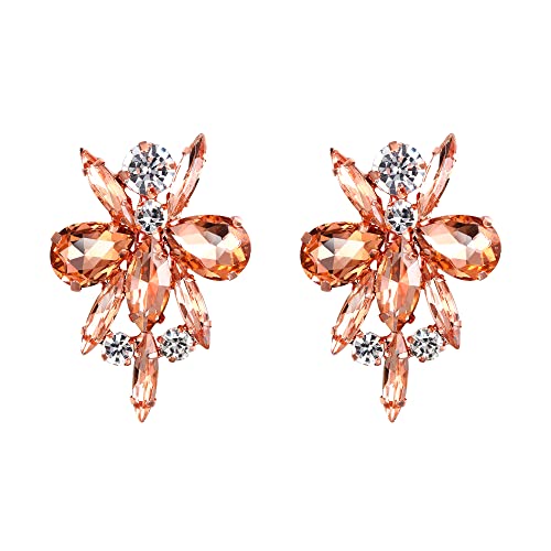 EVER FAITH Kostüm Ohrstecker Statement Blumen Strass Kristall Vintage Art Deco Ohrringe für Damen Mädchen Champagnerfarbe von EVER FAITH