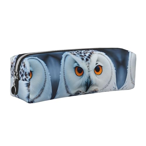 EWQrtyy Federmäppchen aus Leder mit verschneiten Eulen-Augen, Reißverschluss, Zubehörhalter, Schreibwaren-Tasche, Geschenk zum Schulanfang, silber, Einheitsgröße, Kosmetiktasche von EWQrtyy
