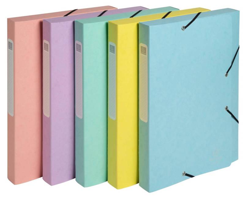 EXACOMPTA Dokumententasche 10x Archivbox A4 Colorspan Rücken 25mm Aquarel sortiert 18560E, Boxen mit Gummizug von EXACOMPTA
