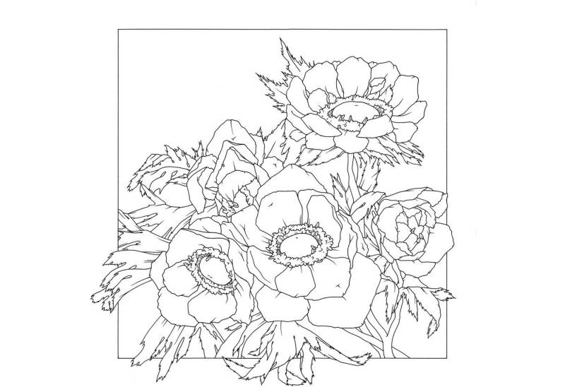 EXACOMPTA Seidenschal 3x Seidentuch 100% Seide - 90x90cm Anemone - Weiß DUPCARYB002C von EXACOMPTA
