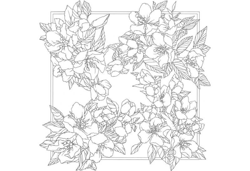 EXACOMPTA Seidenschal 3x Seidentuch 100% Seide - 90x90cm Ayva - Weiß DUPCARYB003C von EXACOMPTA