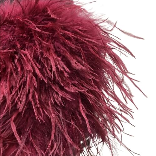 EXKURPOO Feder Tasche Straußenfedern Abendtaschen Mode Metall Strass Kette Schultertaschen Prom Party Clutches(Wine red) von EXKURPOO
