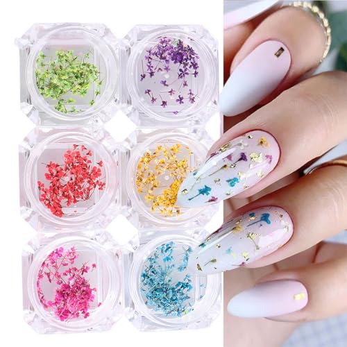 EYVRPAU 6 Stück Nail Art Flowers Set Decoration,Gelnägel Zubehör 6 Farben,Nail Art Aufkleber trockene Blumen Kit getrocknete Blumen Zubehör Set DIY Nageldekoration von EYVRPAU