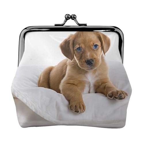 Golden Retriever Print Doppelverschluss Metallrahmen Leder Kiss Lock Kleingeldtasche Geldbörse für Frauen mit Schlüssel, kleine Geldbörsen, Schwarz , Einheitsgröße von EZDLOWVBA