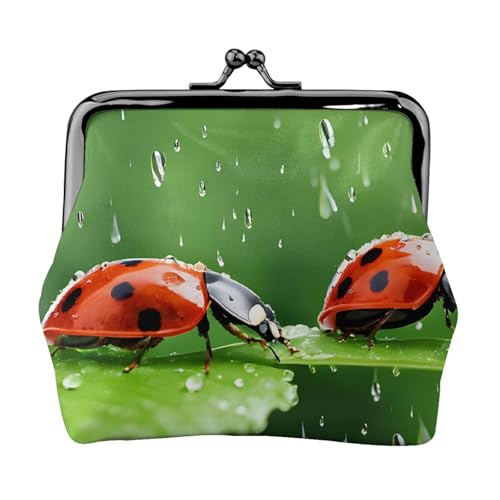 Lustiger Ladybug Print Doppelverschluss Metallrahmen Leder Kiss Lock Kleingeldtasche Geldbörse für Frauen mit Schlüssel, kleine Geldbörsen, Schwarz , Einheitsgröße von EZDLOWVBA