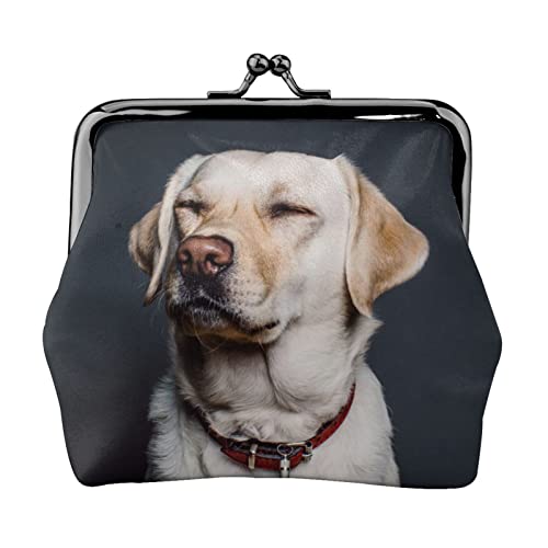 Süßer Labrador-Hunde-Druck, Doppelverschluss, Metallrahmen, Leder, Kussschloss, Kleingeldtasche, Geldbörse für Damen, mit Schlüssel, kleine Geldbörsen, Schwarz , Einheitsgröße von EZDLOWVBA