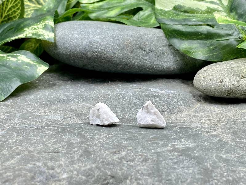 Howlite/Ohrringe Weiße Steinohrringe Ohrstecker Hypoallergene Heilsteine Howlite/Ohrringe Weiße Steinohrringe Ohrstecker Hypoallergene Heilsteine von EarthPlayStudios