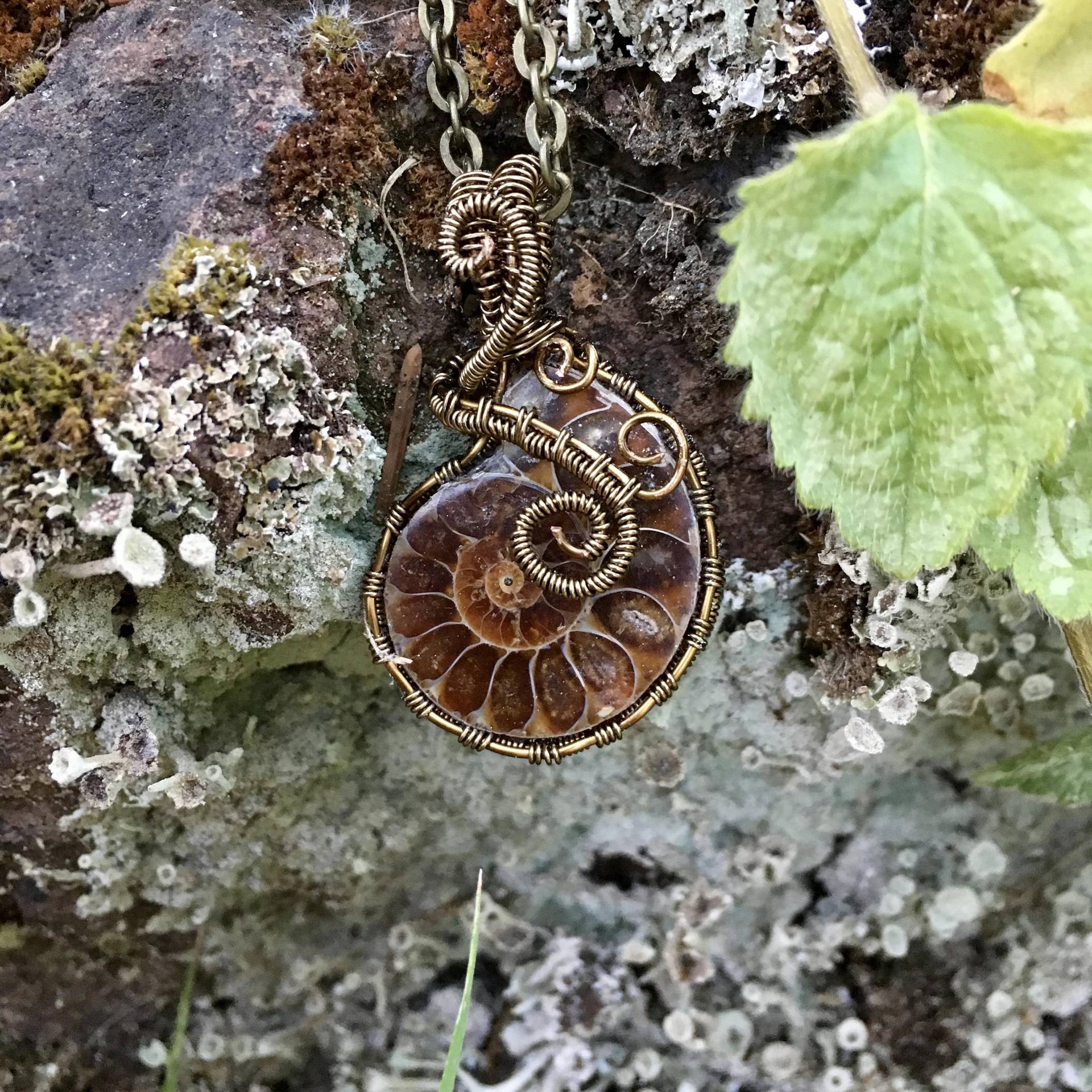Farne Und Fossilien Ammoniten - Draht Gewickelt Anhänger Einzigartige Unisex Halskette Oder Ein Geschenk Farne Und Fossilien Ammoniten - Draht Gewickelt Anhänger Einzigartige Unisex Halskette Oder Ein Geschenk von EarthandARTifacts