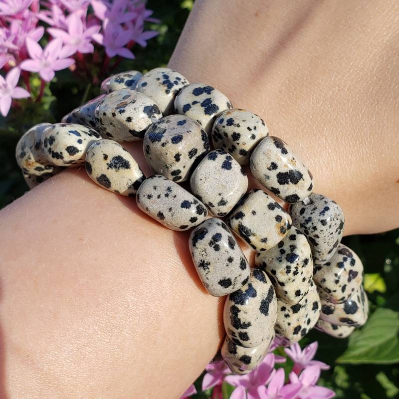 Dalmatiner Jaspis Trommelstein Armband Natürlicher Kristall Heilstein Dalmatiner Jaspis Trommelstein Armband Natürlicher Kristall Heilstein von EarthsRocks
