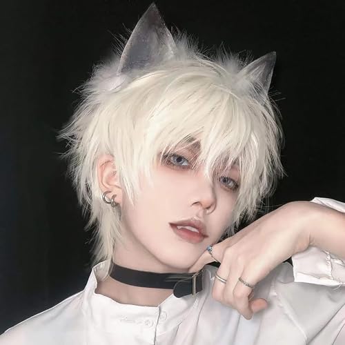 Perücke mit Pony für Männer Cosplay Anime Kurzhaar Perücke für Halloween Party Peluca Gris Plata Synthetische Gerade Perücken für Mann Kostüm von Eastocos