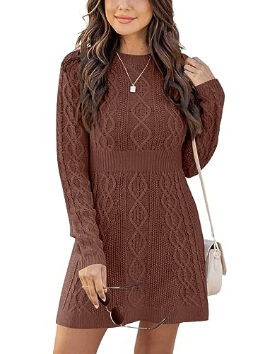 Ebifin Strickkleid Damen Rundhals Strickpullover Kleid Elegant Tunika Pullikleid Winterkleid Sweater A-Linie Minikleid.Braun.L von Ebifin