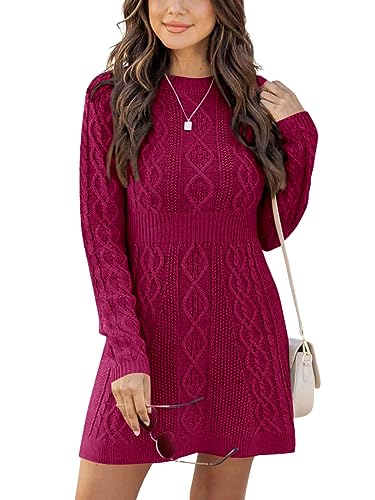 Ebifin Strickkleid Damen Rundhals Strickpullover Kleid Elegant Tunika Pullikleid Winterkleid Sweater A-Linie Minikleid.Weinrot.L von Ebifin