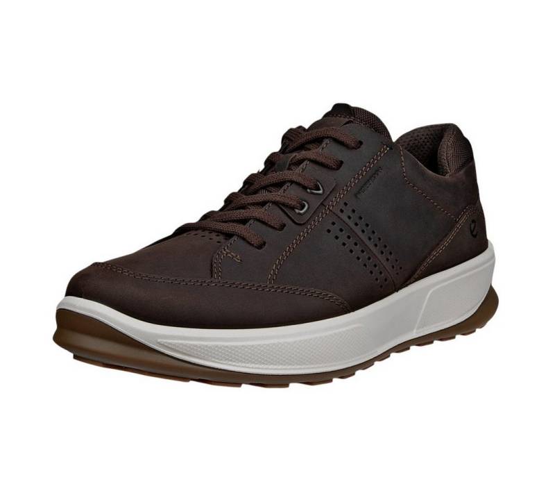 Ecco Byway 2.0 WP (Premium-Leder, wasserdicht) coffeebraun Herren Sneaker von Ecco