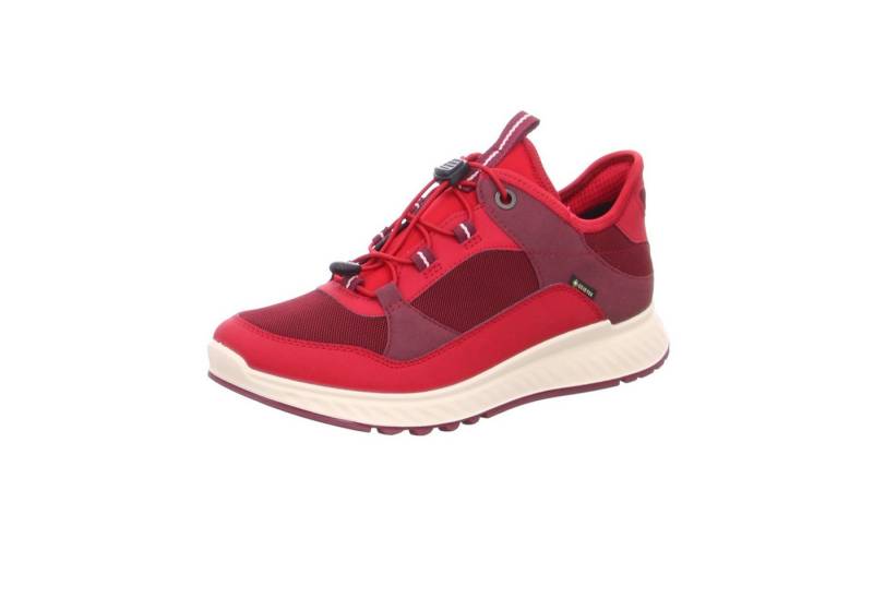 Ecco Freizeit Schnürer für Damen Schnürschuh (1-tlg., keine Angabe) von Ecco